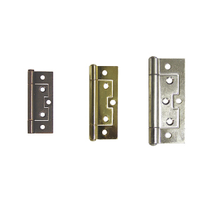 Steel Hinges